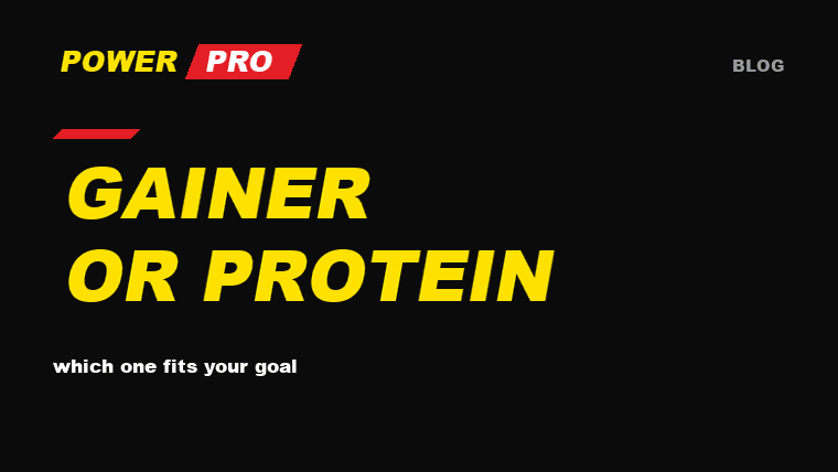 Gainer or Protein: Which One Should You Choose